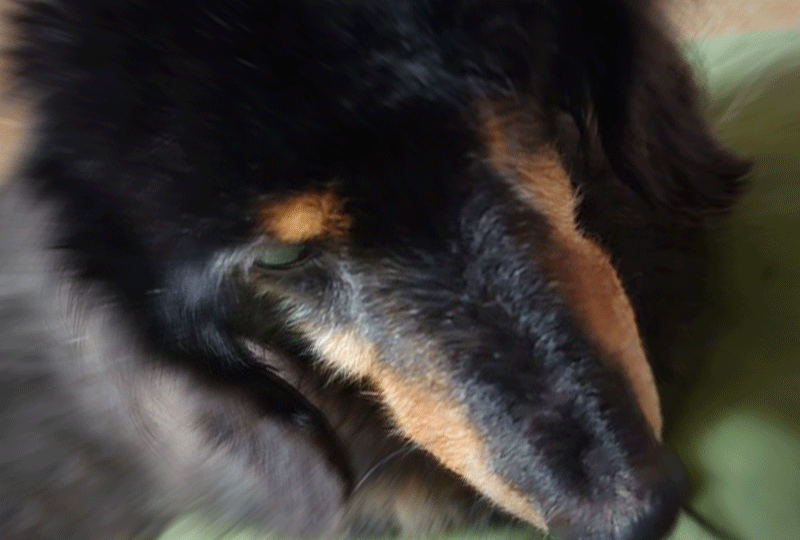 f:id:masami_takasu:20211015111106g:plain