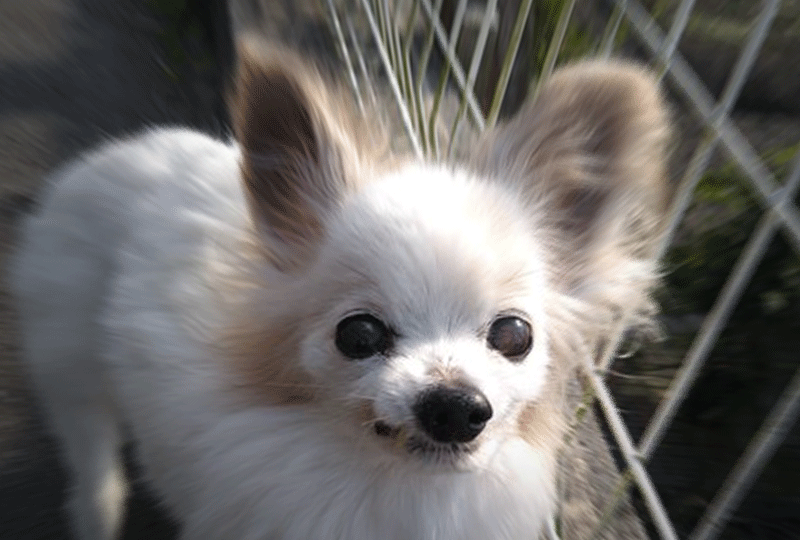 f:id:masami_takasu:20211019063426g:plain