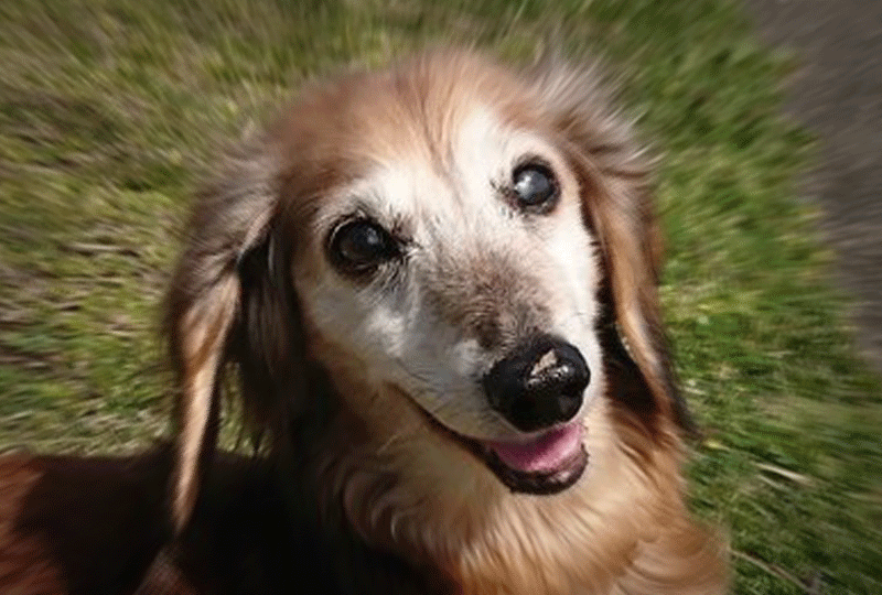 f:id:masami_takasu:20211031082649g:plain