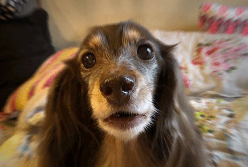 f:id:masami_takasu:20211111072719g:plain