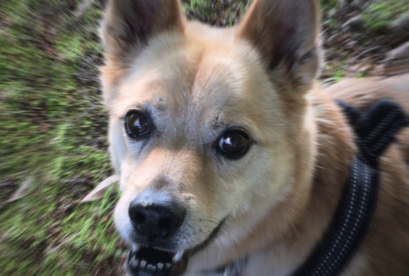 f:id:masami_takasu:20211125102328g:plain