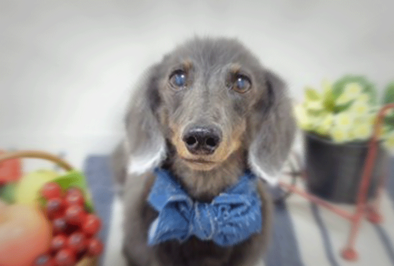 f:id:masami_takasu:20211125103359g:plain