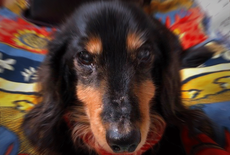 f:id:masami_takasu:20211129011014g:plain