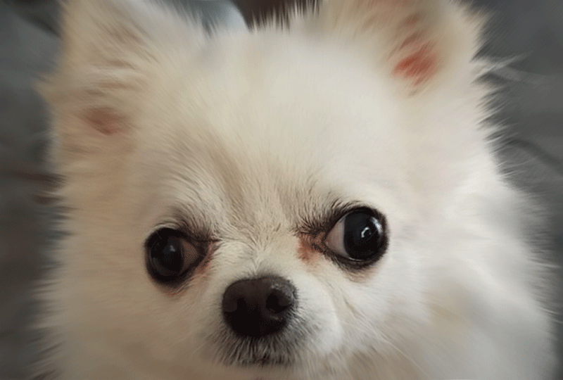 f:id:masami_takasu:20211219073525g:plain