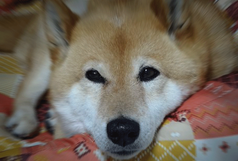 f:id:masami_takasu:20211220191855g:plain