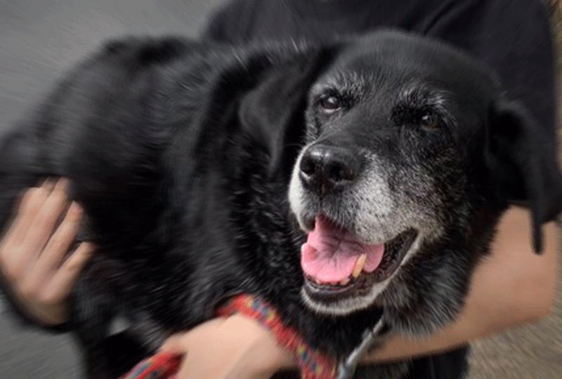 f:id:masami_takasu:20211220192043g:plain