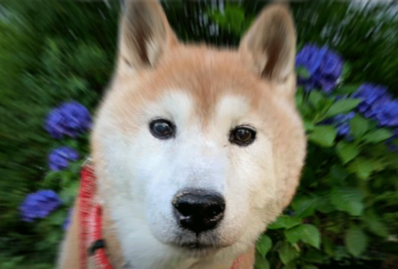 f:id:masami_takasu:20220104080421g:plain