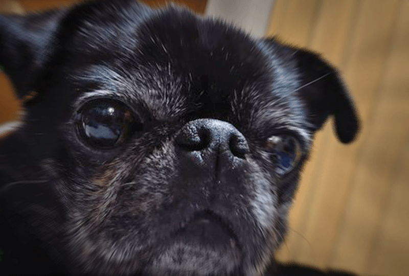 f:id:masami_takasu:20220104091049g:plain