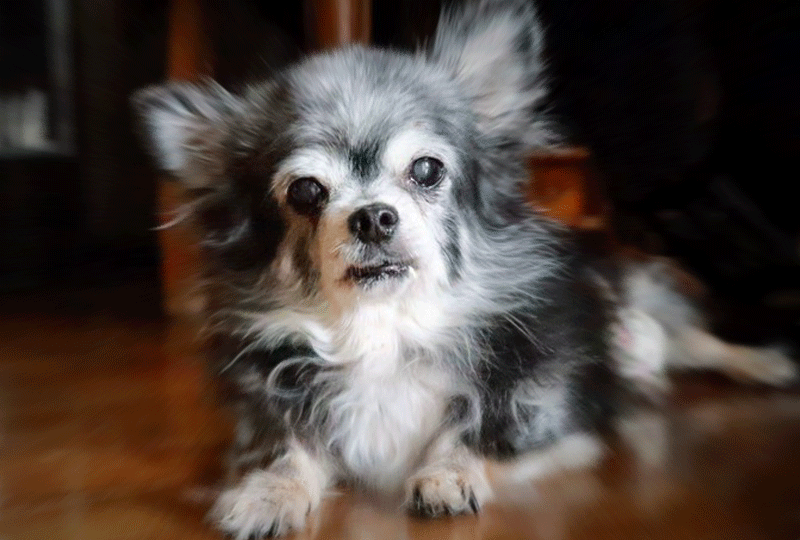 f:id:masami_takasu:20220106081837g:plain