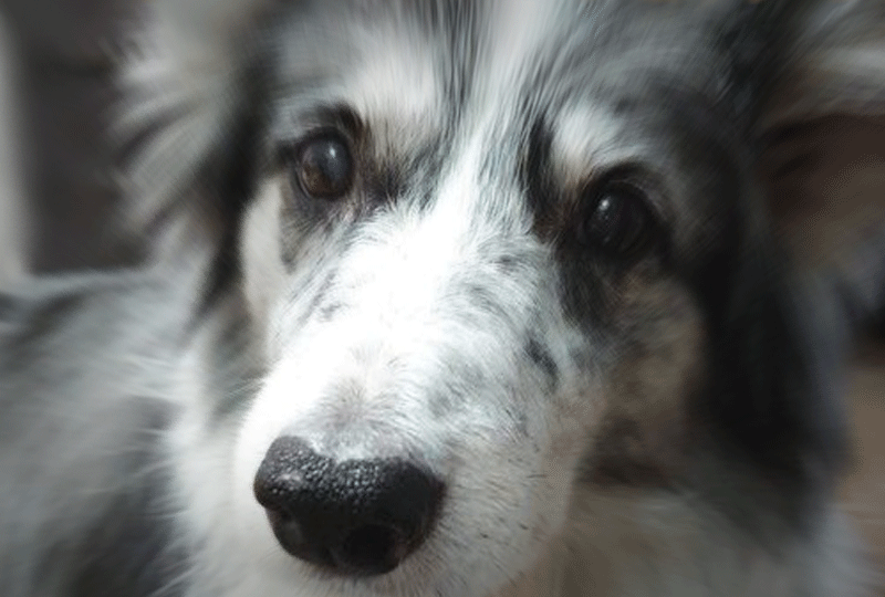 f:id:masami_takasu:20220108083347g:plain