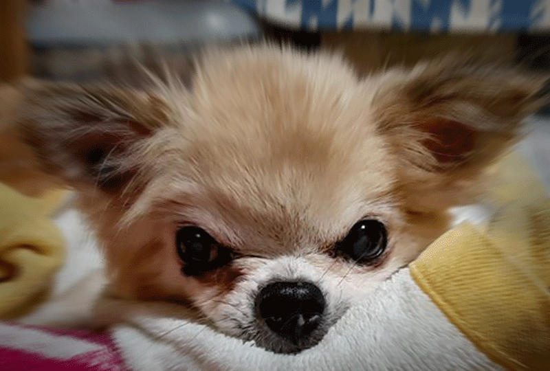 f:id:masami_takasu:20220112012300g:plain