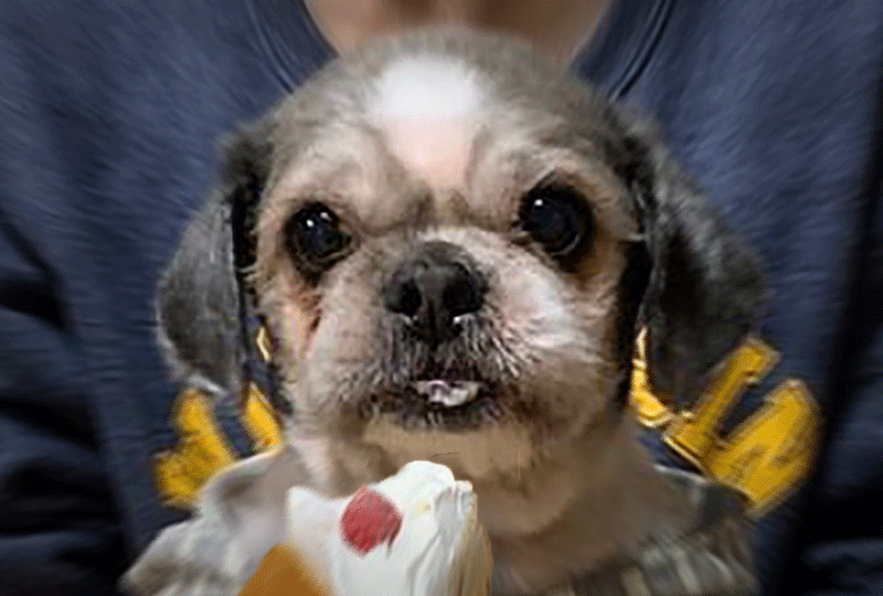 f:id:masami_takasu:20220124083403g:plain