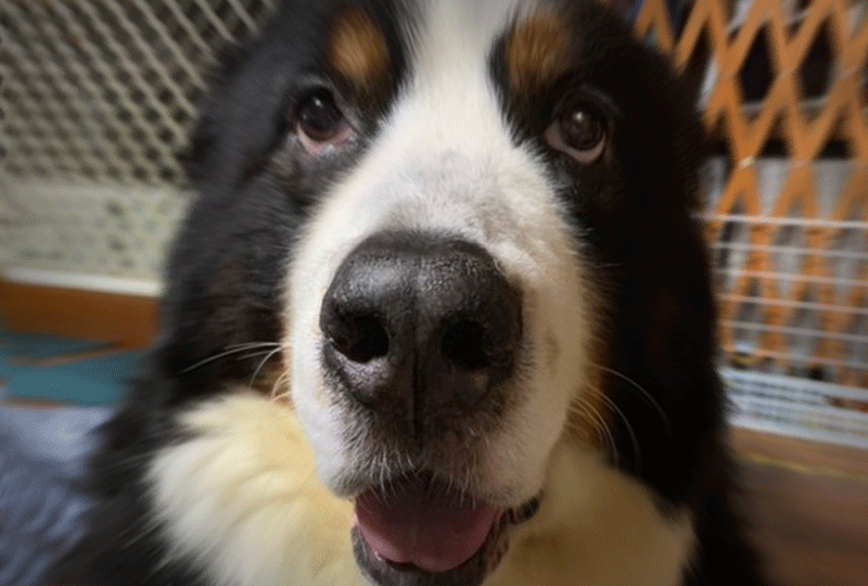 f:id:masami_takasu:20220124083746g:plain