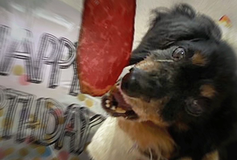 f:id:masami_takasu:20220128133727g:plain