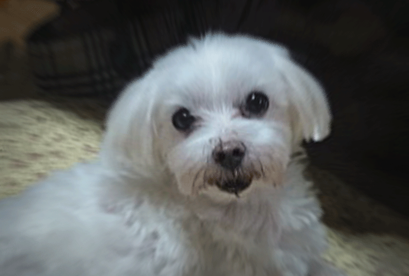 f:id:masami_takasu:20220128135030g:plain