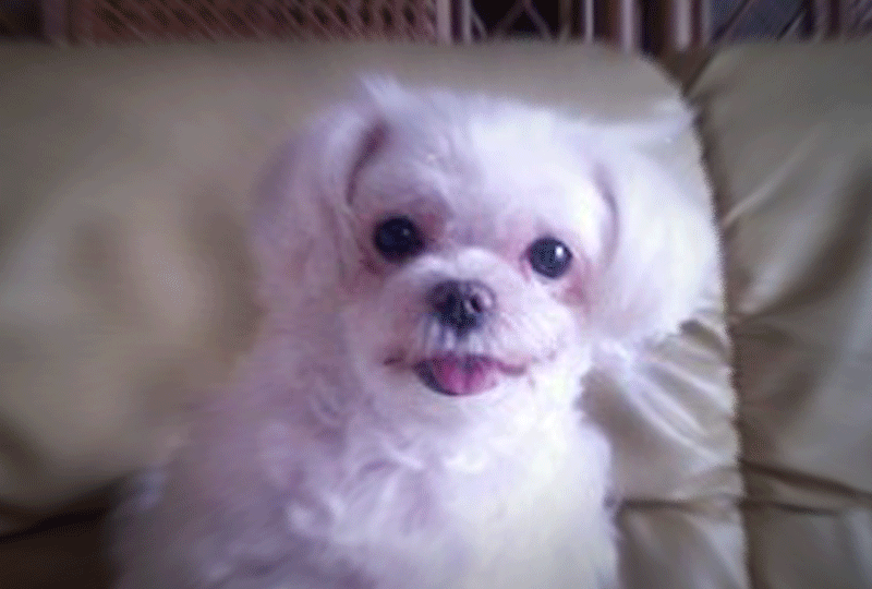 f:id:masami_takasu:20220128135208g:plain