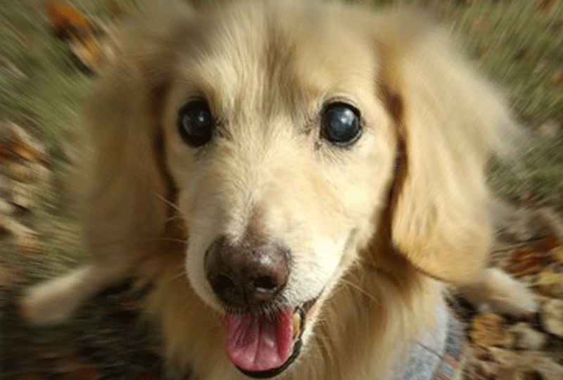 f:id:masami_takasu:20220208195916g:plain