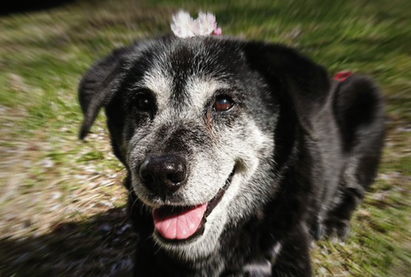 f:id:masami_takasu:20220220080123g:plain