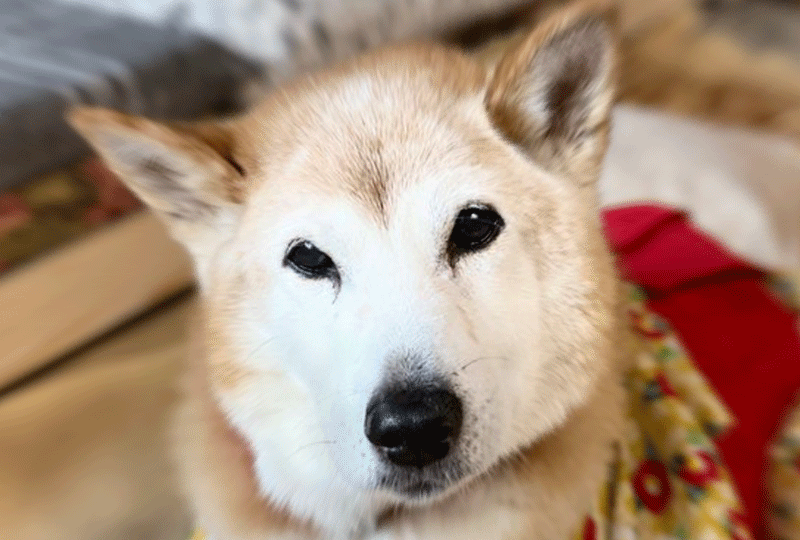 f:id:masami_takasu:20220220080151g:plain