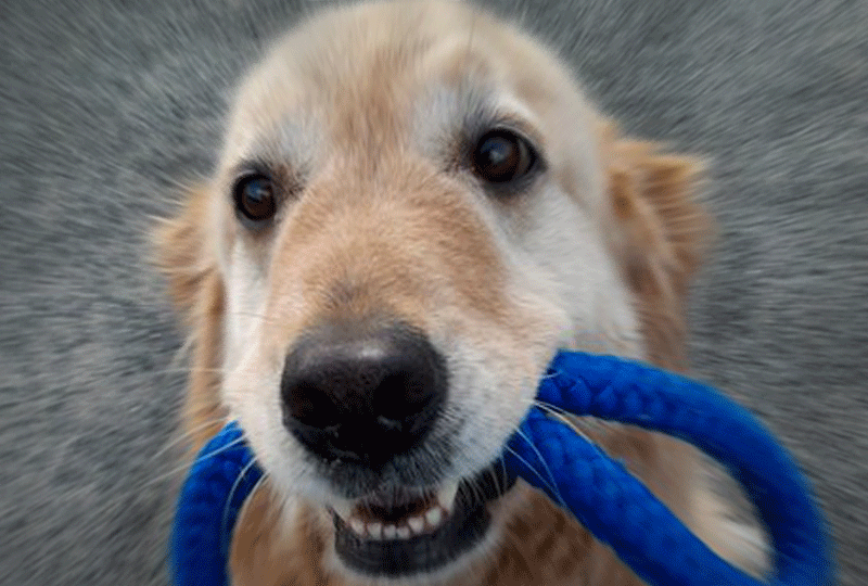 f:id:masami_takasu:20220321070214g:plain