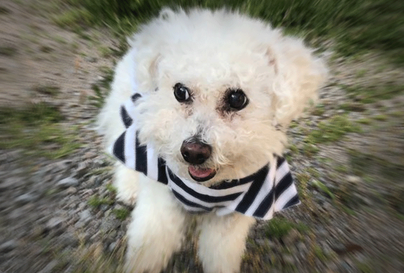 f:id:masami_takasu:20220327073659g:plain