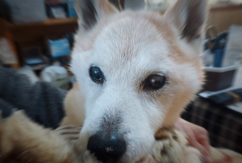 f:id:masami_takasu:20220327074719g:plain