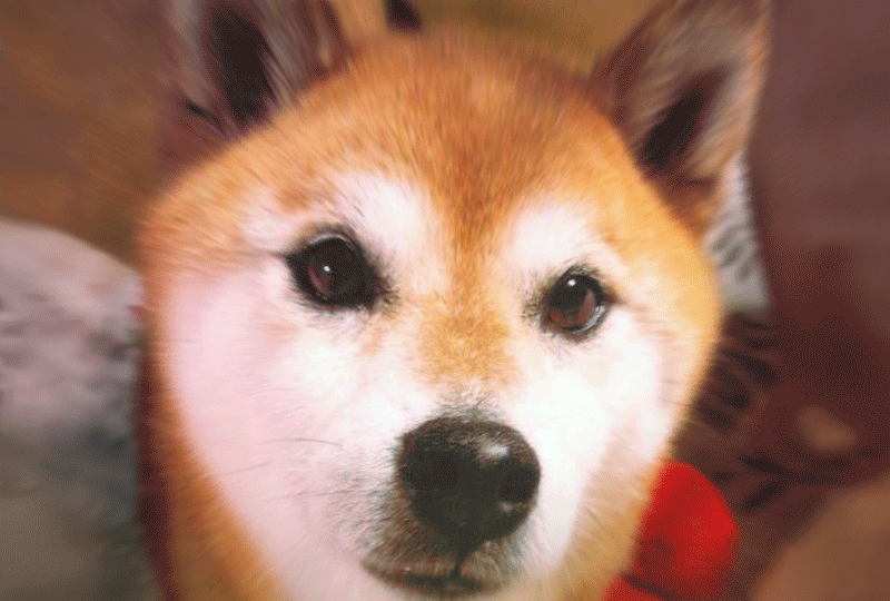 f:id:masami_takasu:20220327074740g:plain