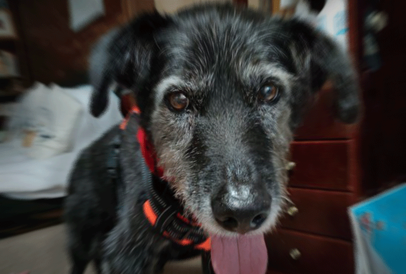 f:id:masami_takasu:20220407062552g:plain