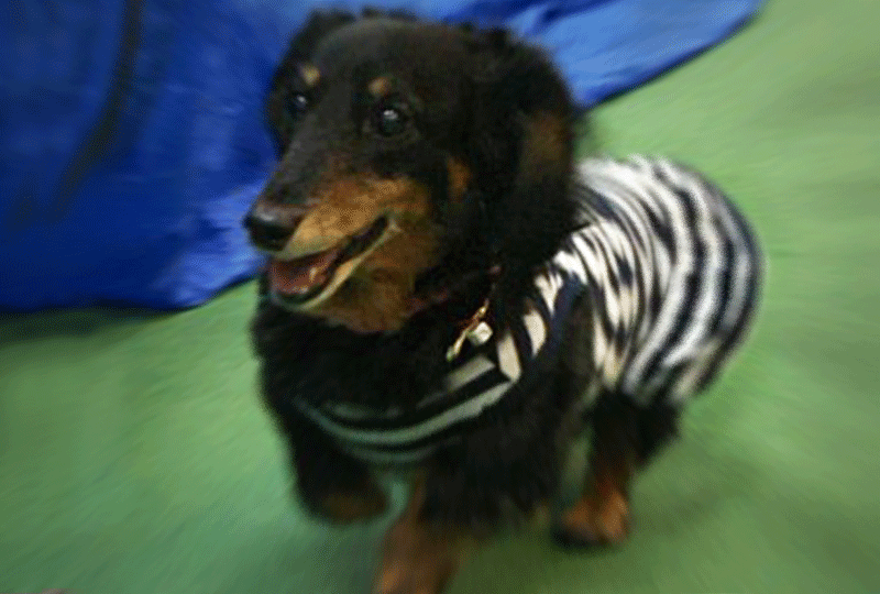 f:id:masami_takasu:20220407062615g:plain