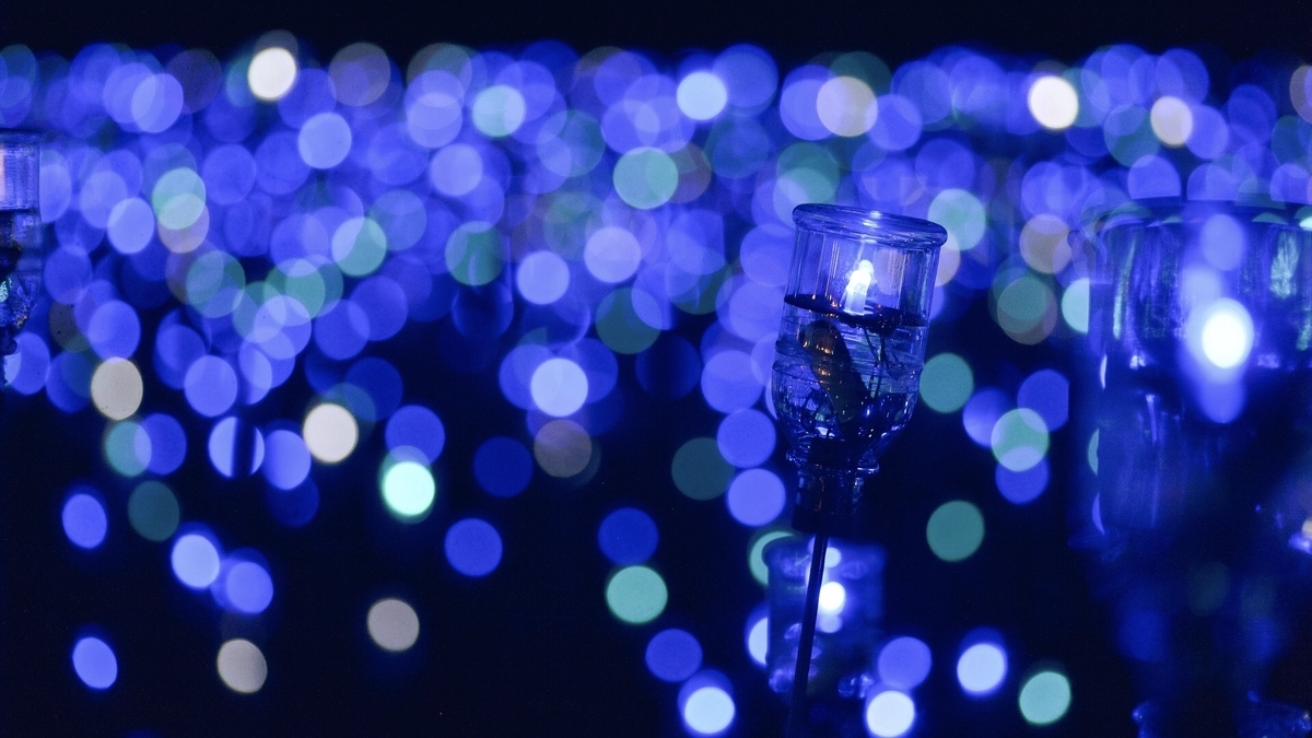 f:id:masamipapa:20191203135747j:plain