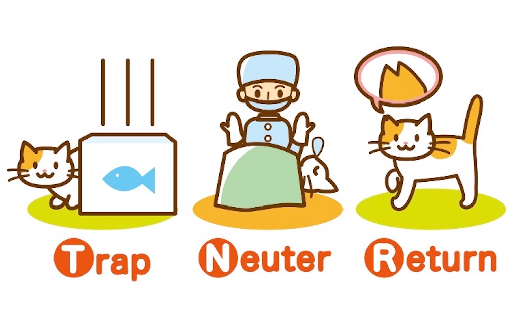 f:id:masamomokun:20190509125859j:image f:id:masamomokun:20190509125859j:image