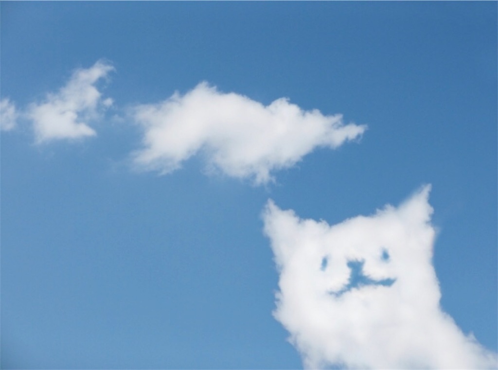 f:id:masamomokun:20190509152043j:image f:id:masamomokun:20190509152043j:image
