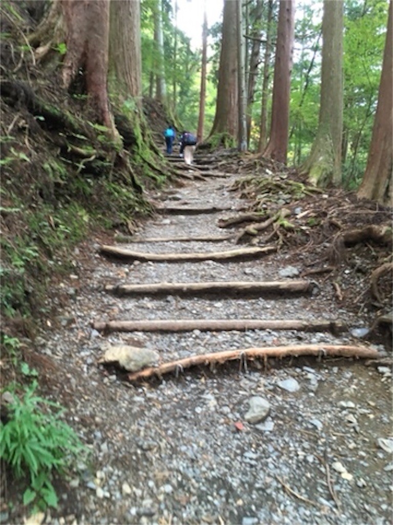 f:id:masanari:20191220161315j:image f:id:masanari:20191220161315j:image