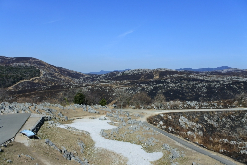 f:id:masanari7430:20180423224434j:plain f:id:masanari7430:20180423224434j:plain