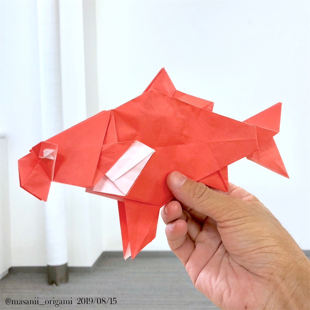 展開図からのスパルタ講習 机さんの 鯉 は想像以上にコイ時間だった まさにぃの折り紙コラム