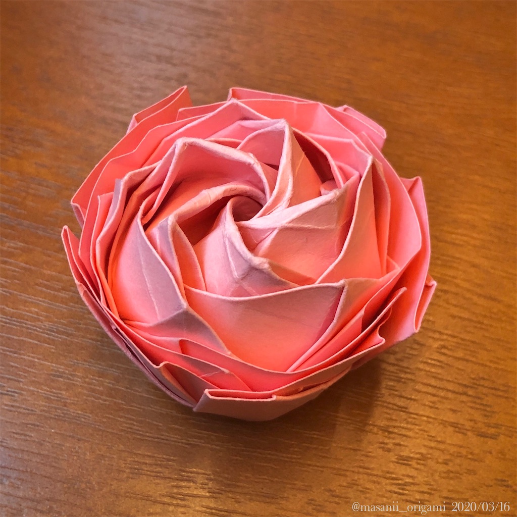 佐藤ローズ、待望の新作！ 〜「Origami」という品種のバラを折り紙で