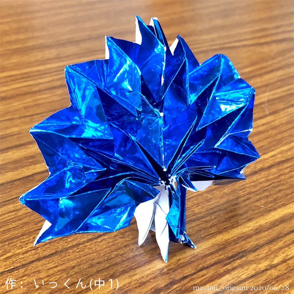 f:id:masanii_origami:20200628221035j:image