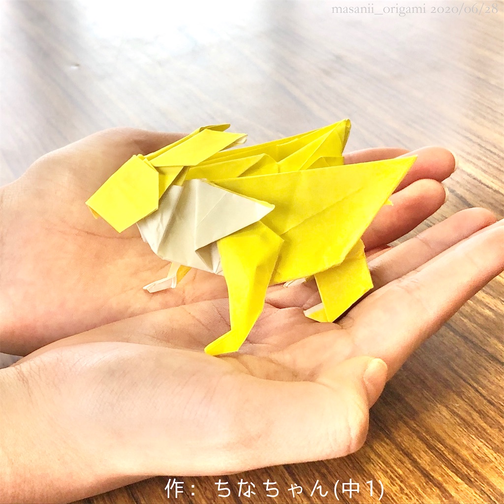 f:id:masanii_origami:20200628221137j:image