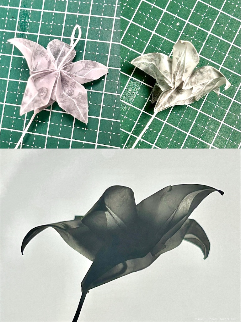 f:id:masanii_origami:20241124121951j:image f:id:masanii_origami:20241124121951j:image