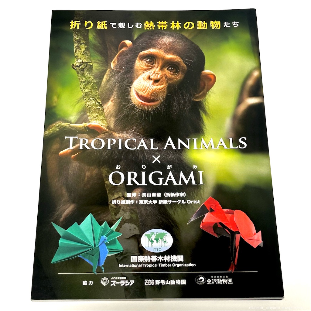 f:id:masanii_origami:20241223092314j:image