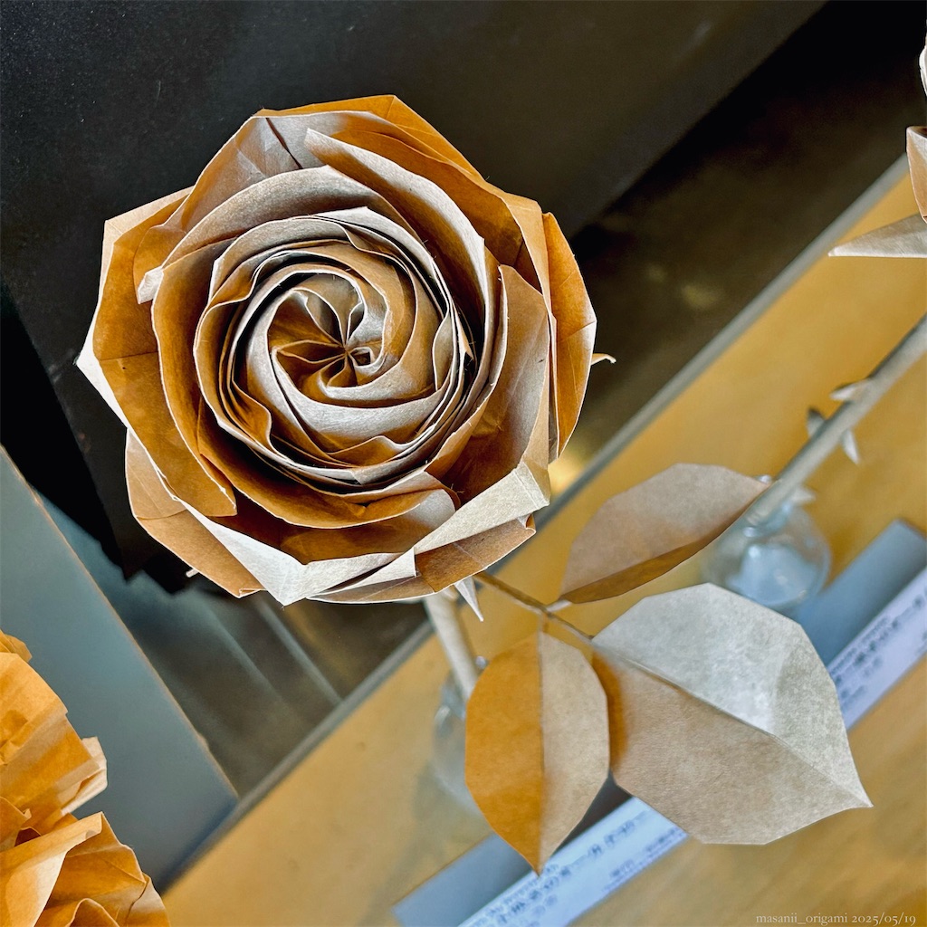 f:id:masanii_origami:20250519011108j:image