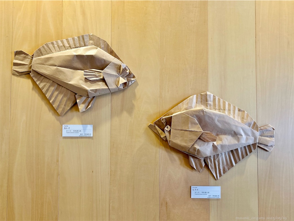 f:id:masanii_origami:20250519011235j:image