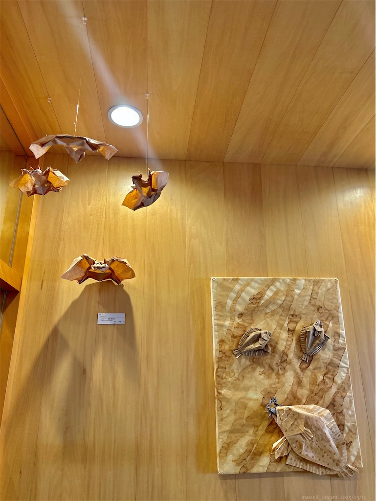 f:id:masanii_origami:20250519011240j:image