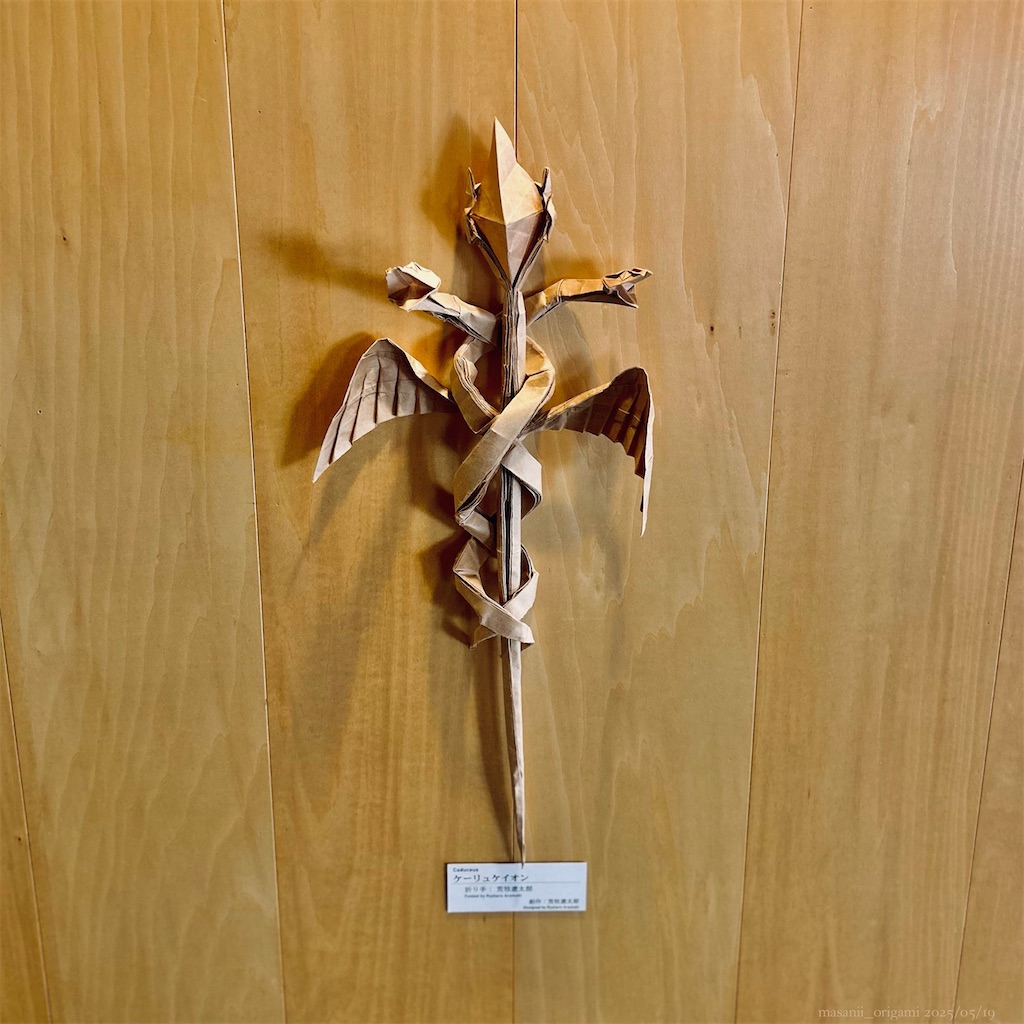 f:id:masanii_origami:20250519011306j:image