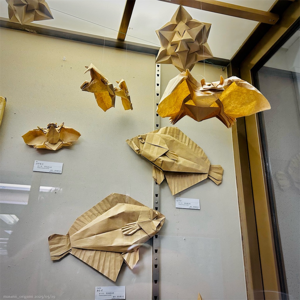f:id:masanii_origami:20250519011537j:image