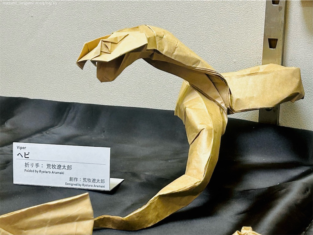 f:id:masanii_origami:20250519011619j:image