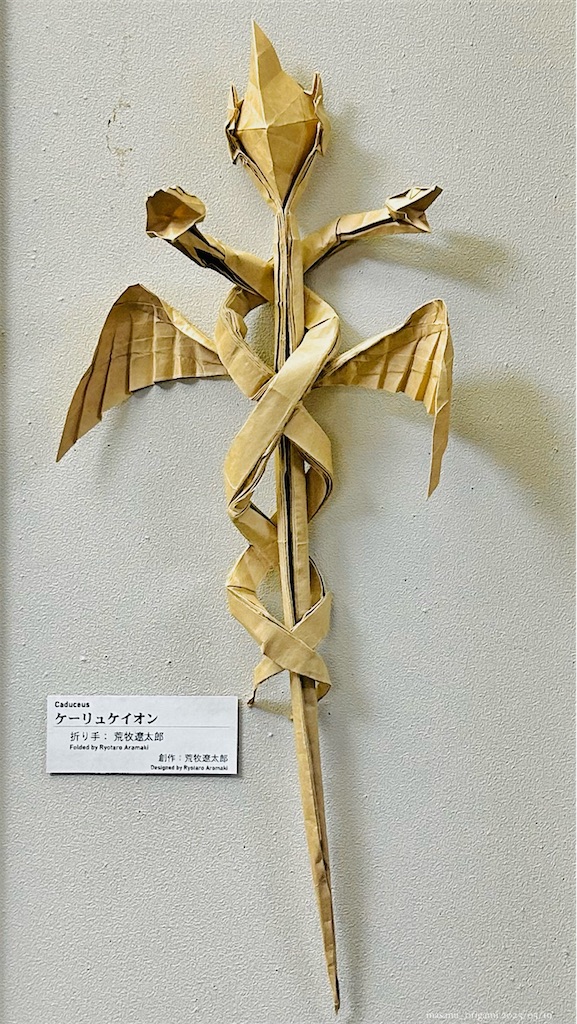 f:id:masanii_origami:20250519011623j:image