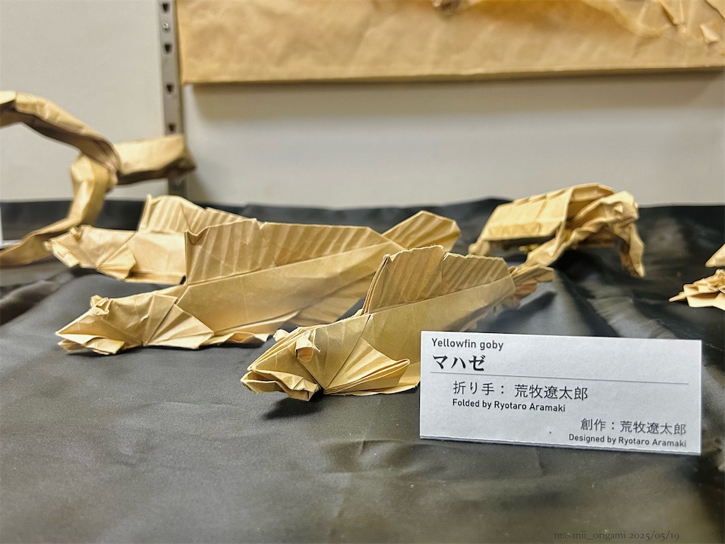 f:id:masanii_origami:20250519011625j:image