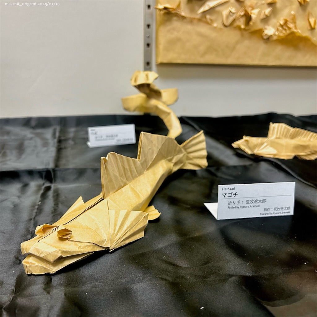 f:id:masanii_origami:20250519011642j:image