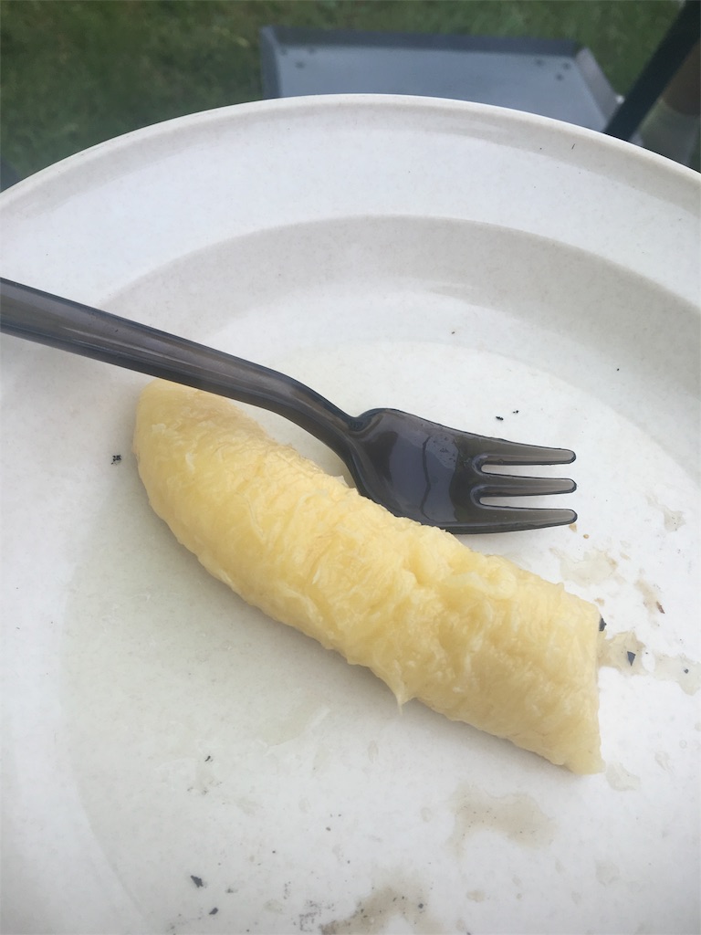 f:id:masaniisan:20160816212447j:image